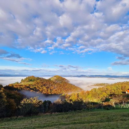 Vineyard Cottage Soncni Gric Trebnje ภายนอก รูปภาพ