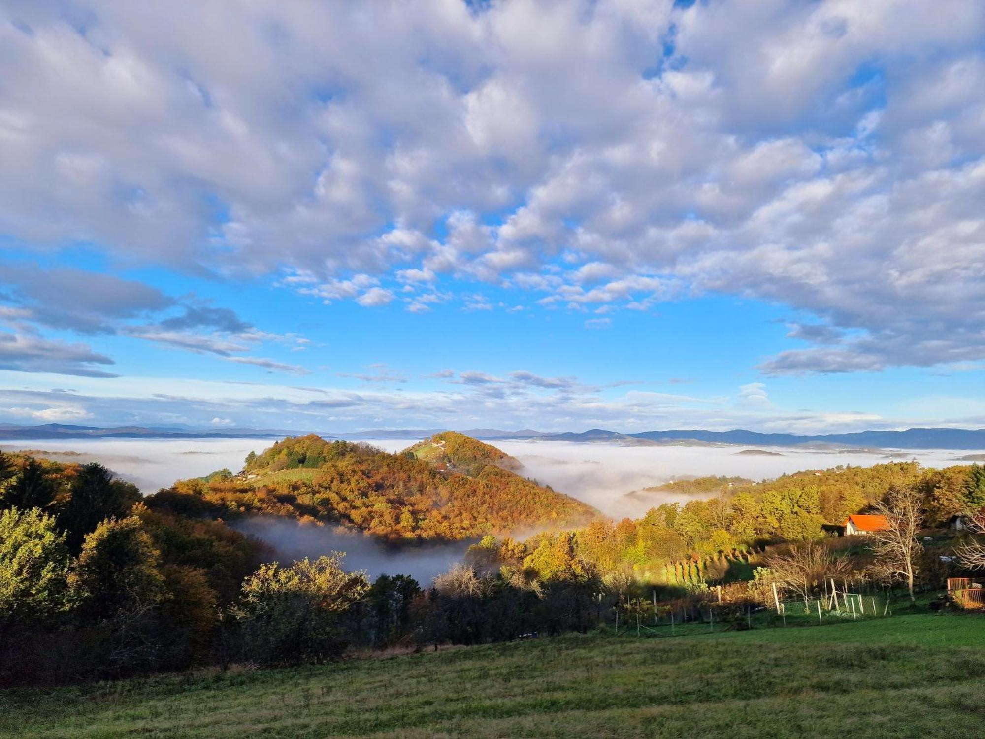 Vineyard Cottage Soncni Gric Trebnje ภายนอก รูปภาพ
