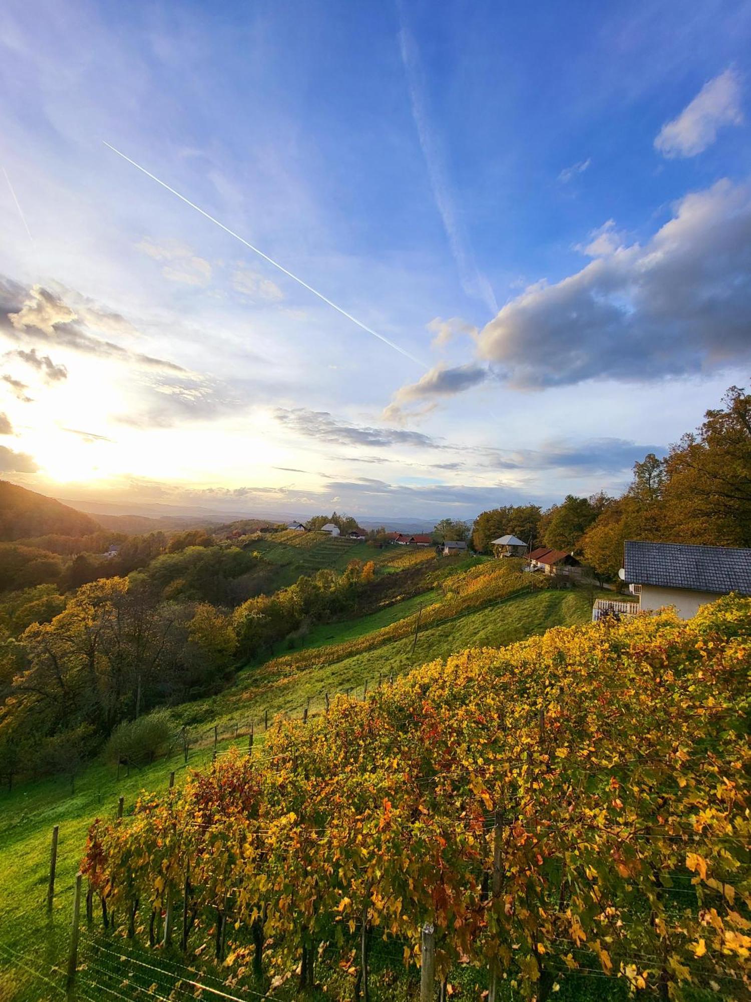 Vineyard Cottage Soncni Gric Trebnje ภายนอก รูปภาพ