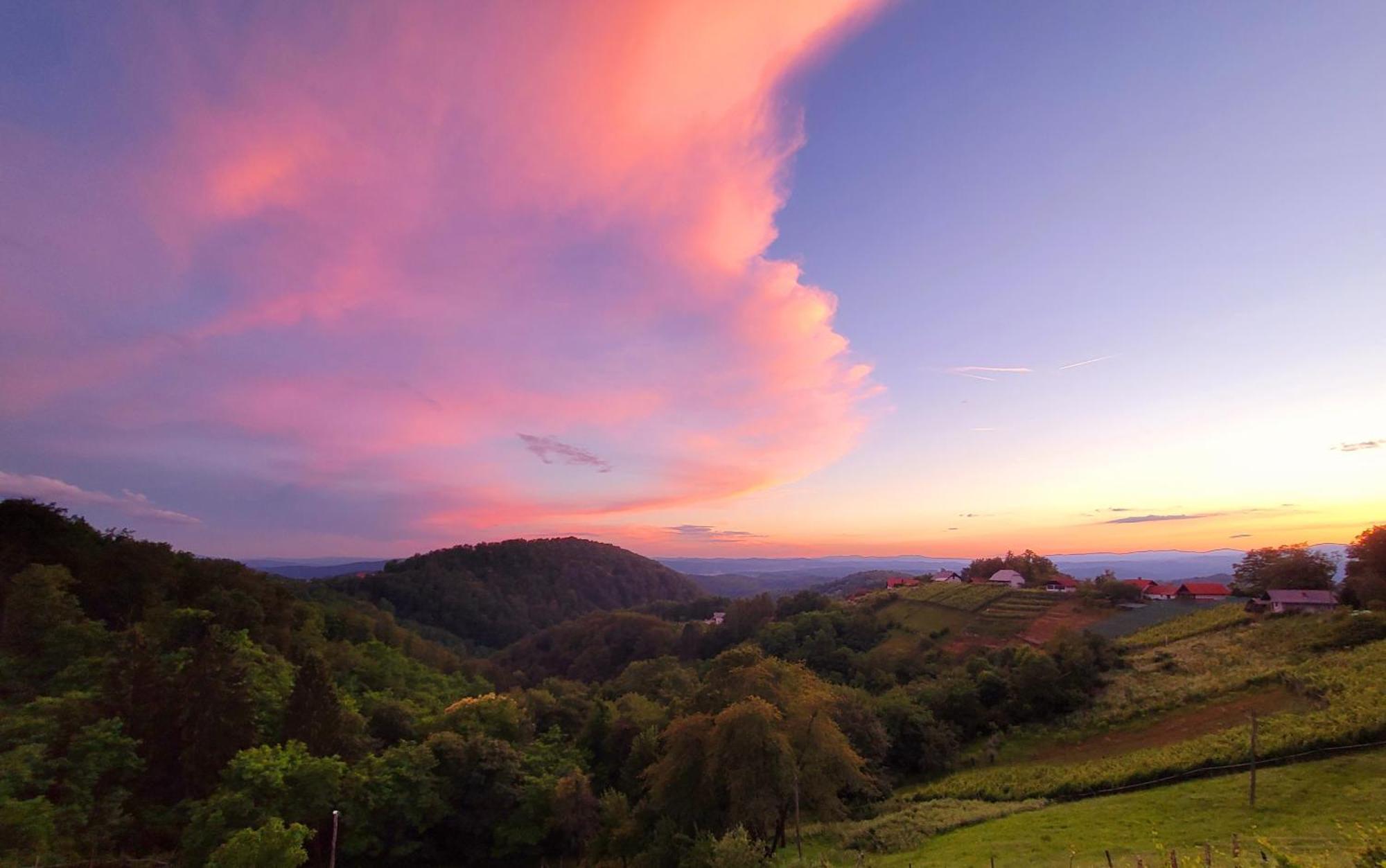 Vineyard Cottage Soncni Gric Trebnje ภายนอก รูปภาพ