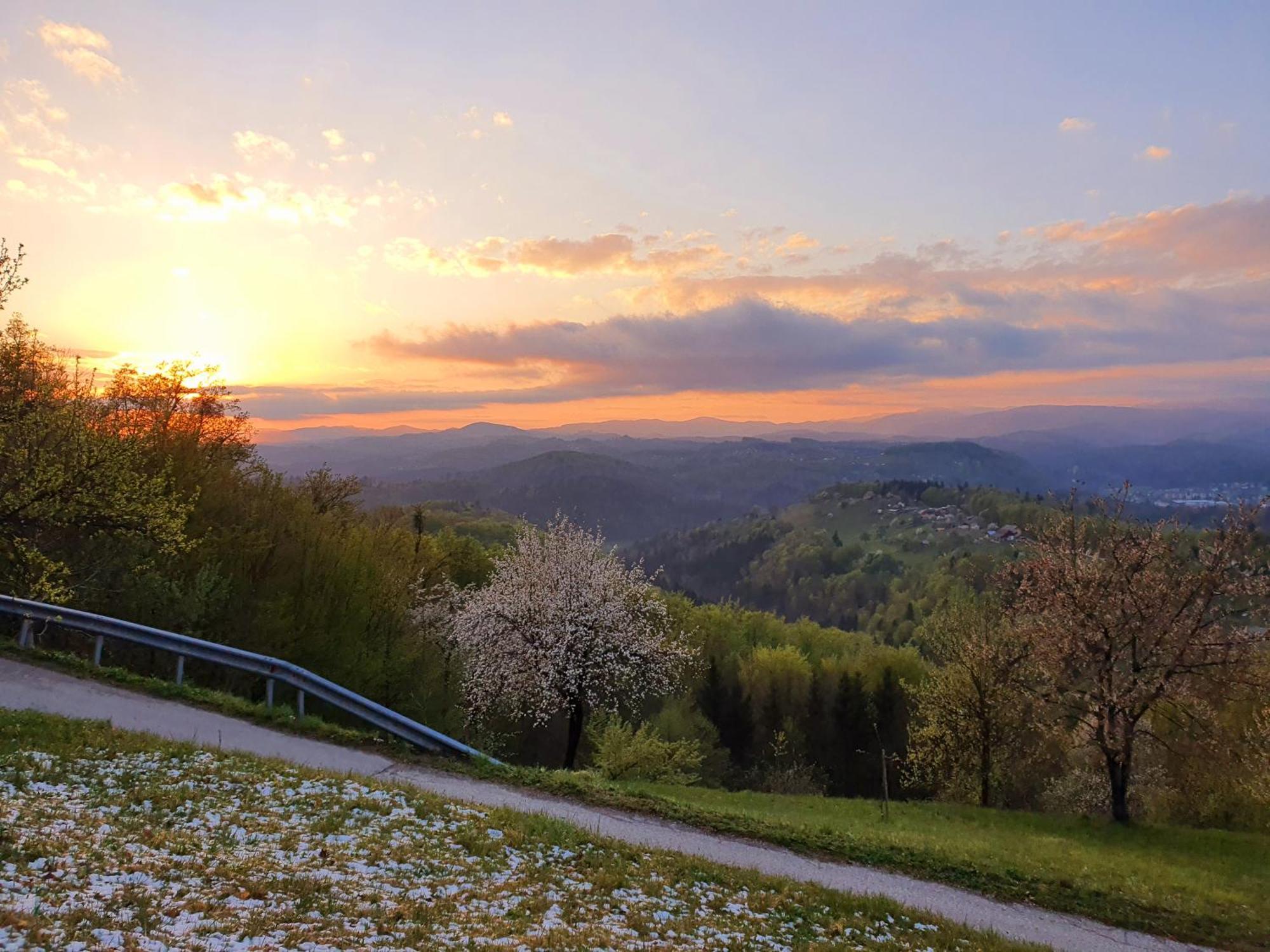 Vineyard Cottage Soncni Gric Trebnje ภายนอก รูปภาพ