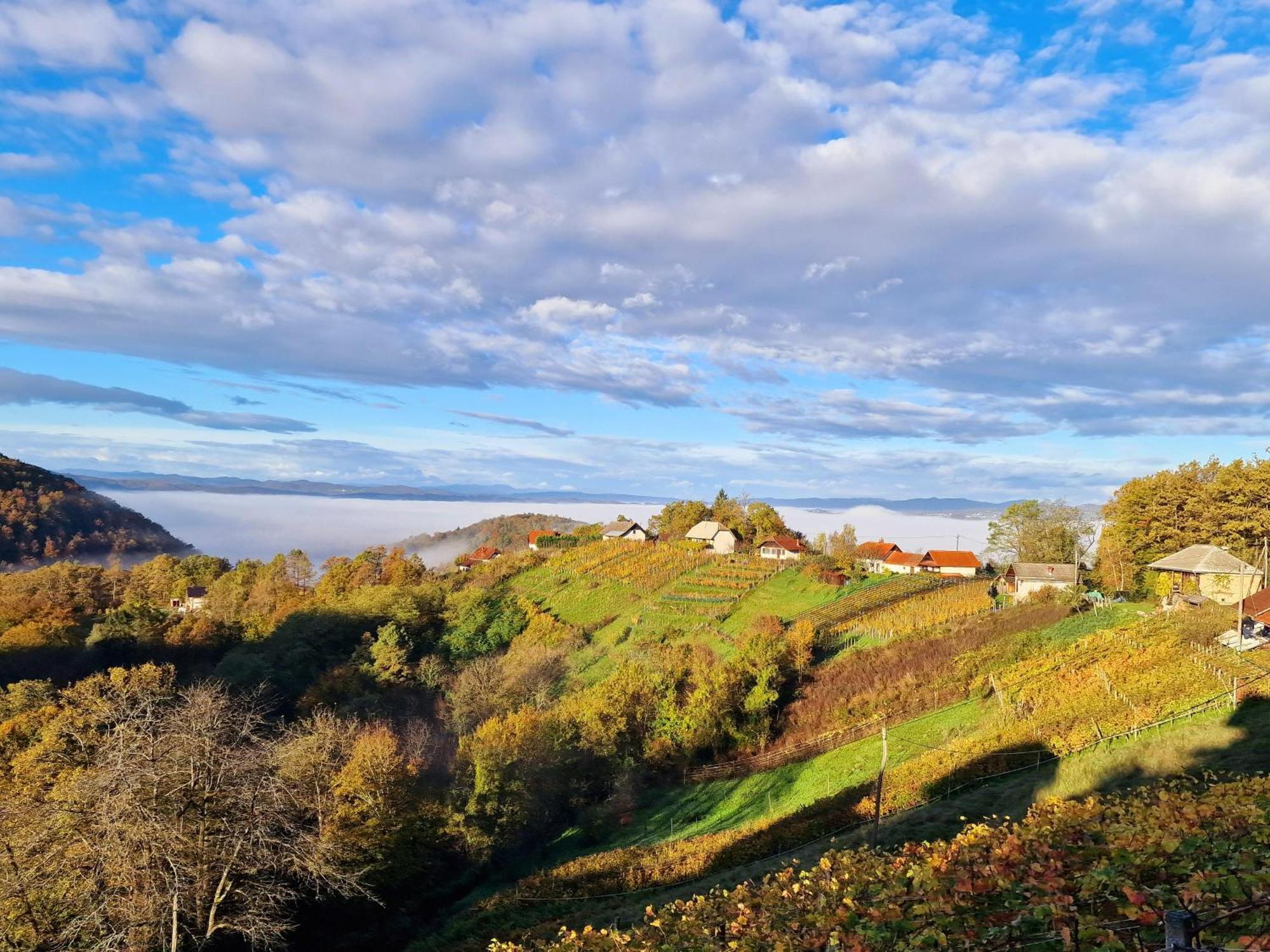 Vineyard Cottage Soncni Gric Trebnje ภายนอก รูปภาพ